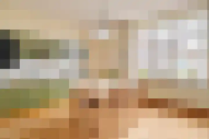 De Brentjes 53 Koningslust thumbnail 14