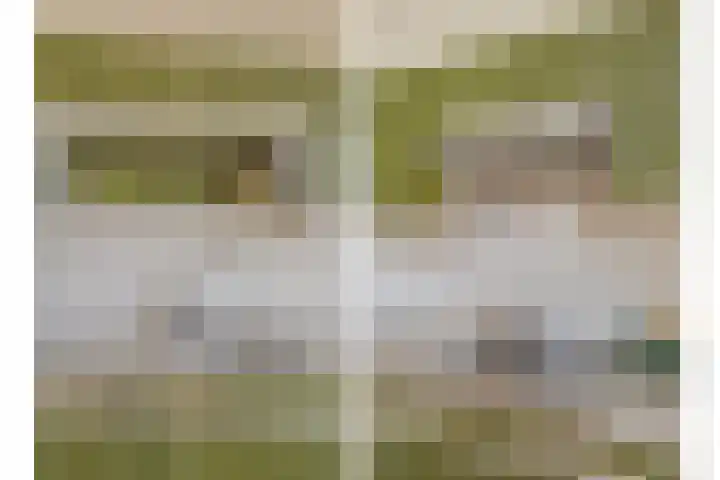 De Brentjes 53 Koningslust thumbnail 15