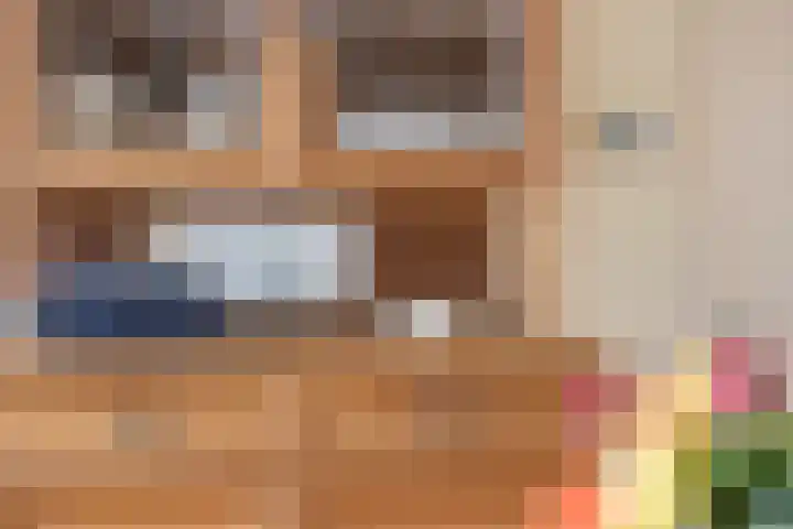 De Brentjes 53 Koningslust thumbnail 18
