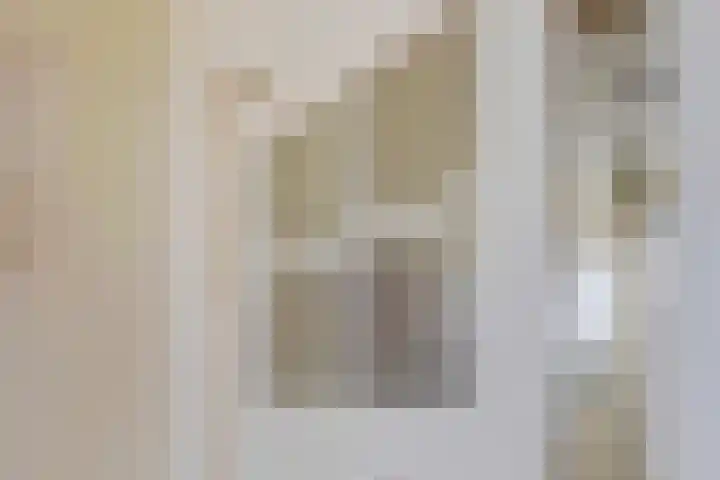 De Brentjes 53 Koningslust thumbnail 19