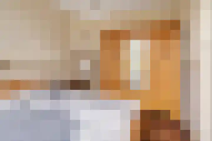 De Brentjes 53 Koningslust thumbnail 23
