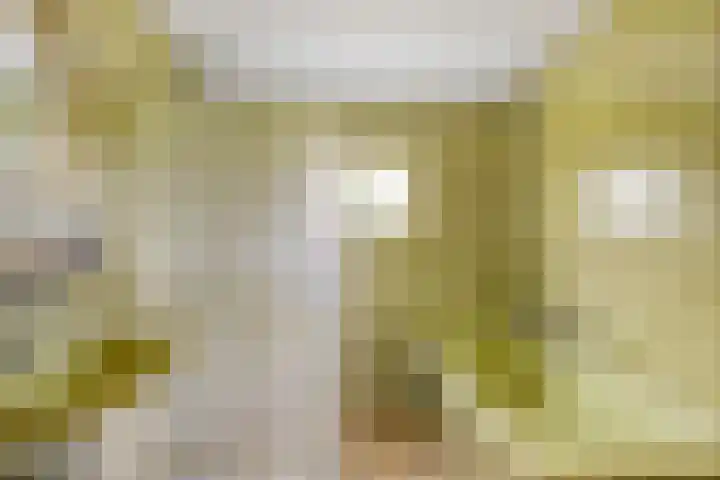 De Brentjes 53 Koningslust thumbnail 27