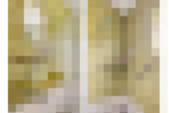 De Brentjes 53 Koningslust thumbnail 28