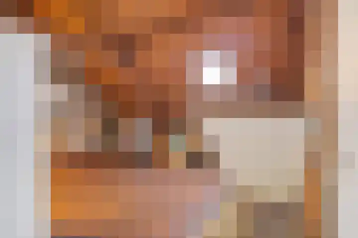 De Brentjes 53 Koningslust thumbnail 31
