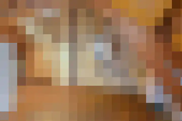 De Brentjes 53 Koningslust thumbnail 33