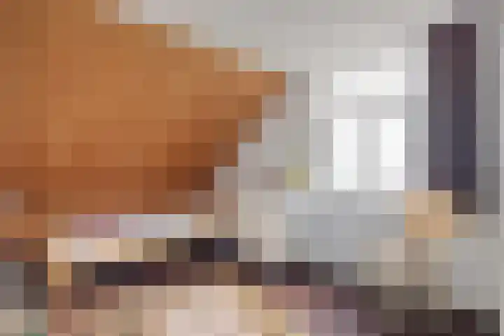 De Brentjes 53 Koningslust thumbnail 35