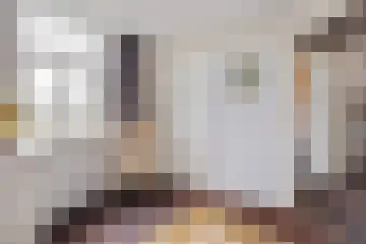 De Brentjes 53 Koningslust thumbnail 37