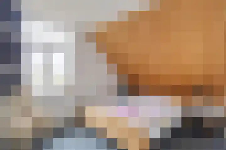 De Brentjes 53 Koningslust thumbnail 38