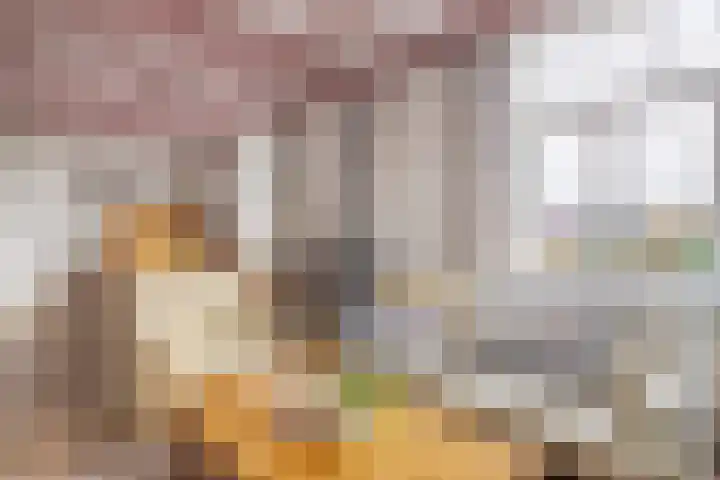 De Brentjes 53 Koningslust thumbnail 4