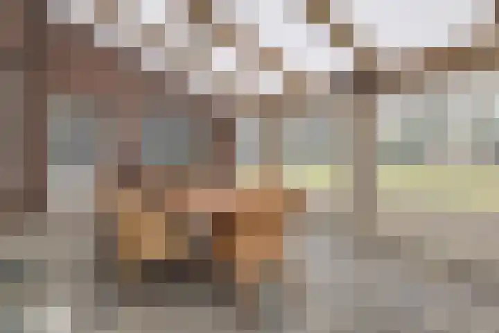 De Brentjes 53 Koningslust thumbnail 42