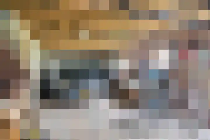 De Brentjes 53 Koningslust thumbnail 44