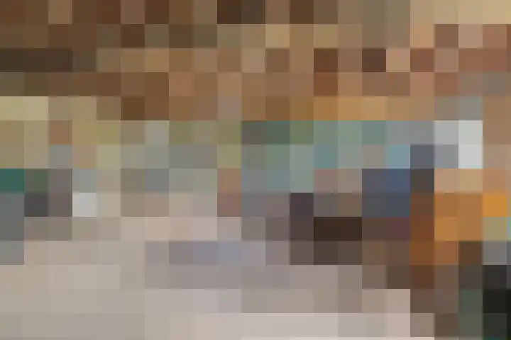De Brentjes 53 Koningslust thumbnail 45