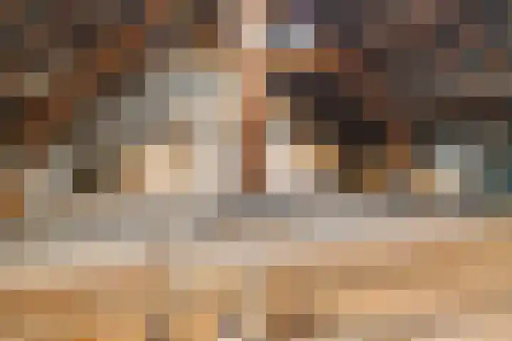 De Brentjes 53 Koningslust thumbnail 46