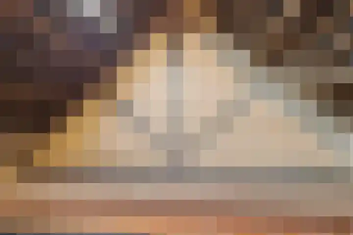 De Brentjes 53 Koningslust thumbnail 47