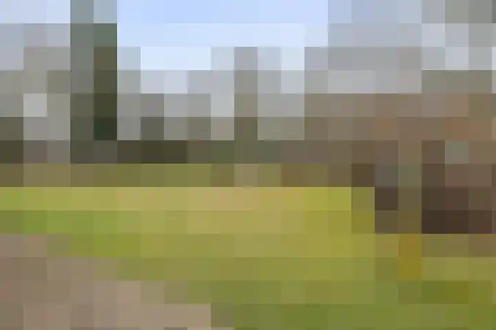 De Brentjes 53 Koningslust thumbnail 48