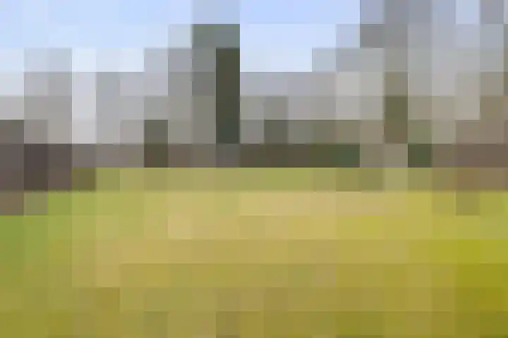 De Brentjes 53 Koningslust thumbnail 49