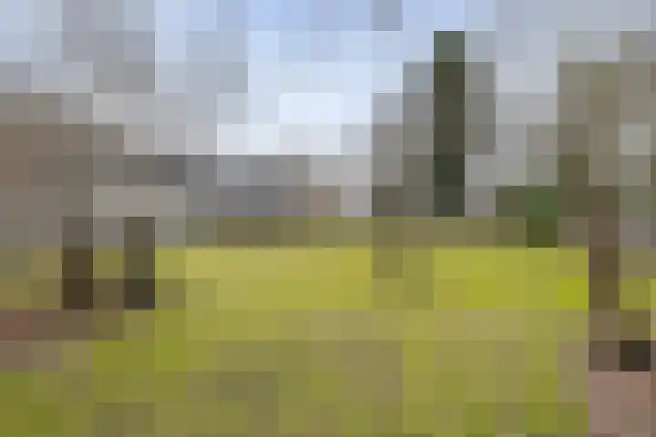 De Brentjes 53 Koningslust thumbnail 50