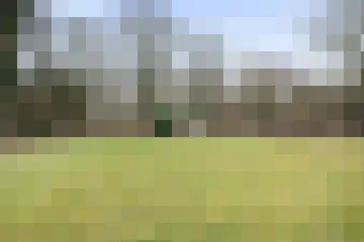 De Brentjes 53 Koningslust thumbnail 51