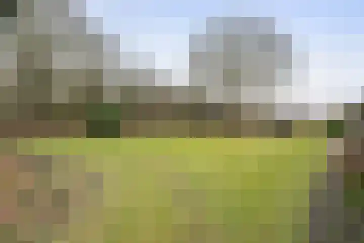 De Brentjes 53 Koningslust thumbnail 52