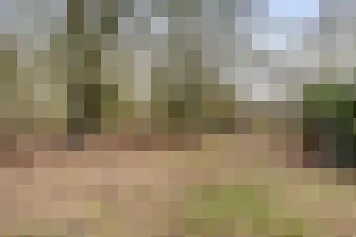 De Brentjes 53 Koningslust thumbnail 53