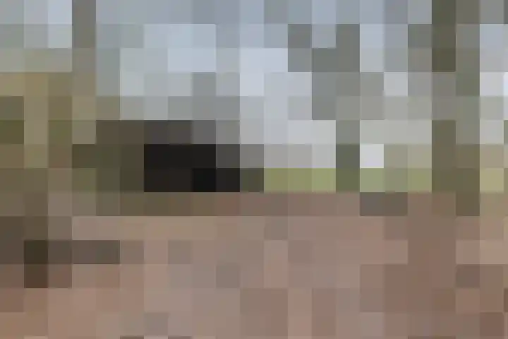 De Brentjes 53 Koningslust thumbnail 54