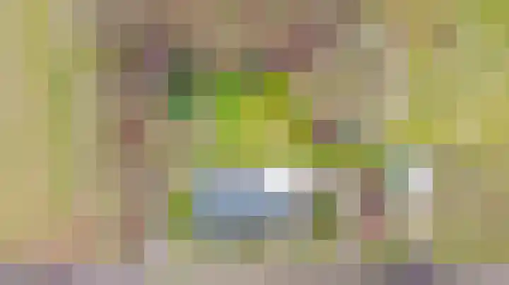 De Brentjes 53 Koningslust thumbnail 56