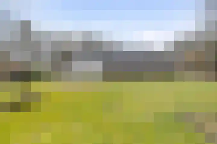 De Brentjes 53 Koningslust thumbnail 57
