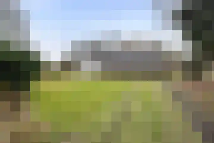 De Brentjes 53 Koningslust thumbnail 59