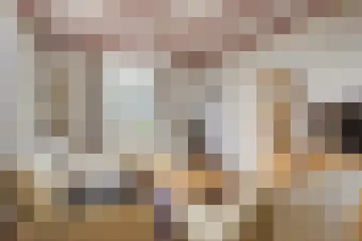 De Brentjes 53 Koningslust thumbnail 6