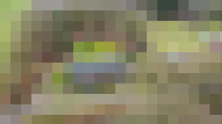 De Brentjes 53 Koningslust thumbnail 60