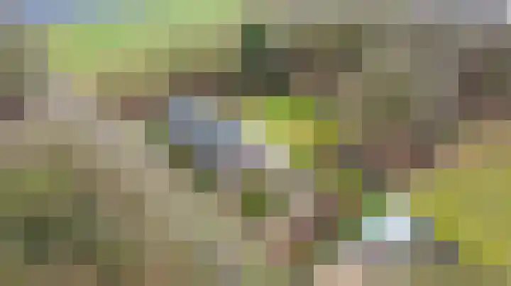 De Brentjes 53 Koningslust thumbnail 61