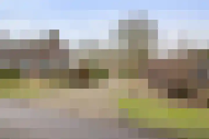 De Brentjes 53 Koningslust thumbnail 66