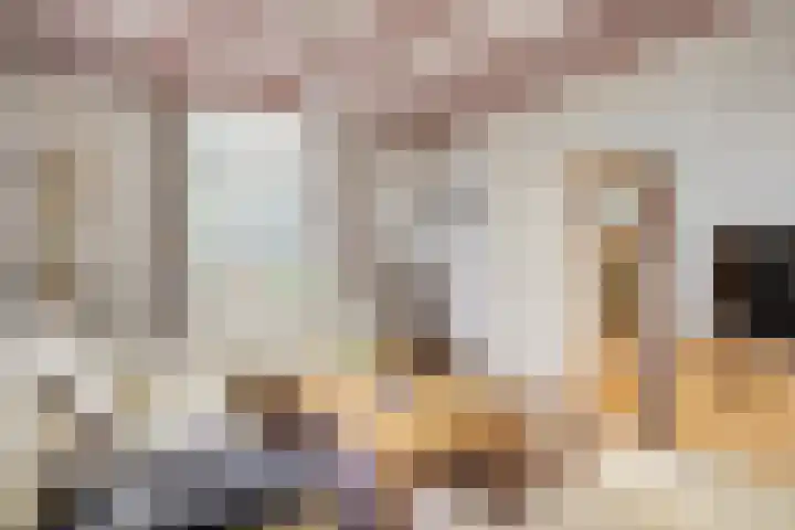De Brentjes 53 Koningslust thumbnail 7