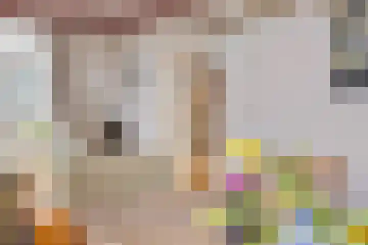 De Brentjes 53 Koningslust thumbnail 9