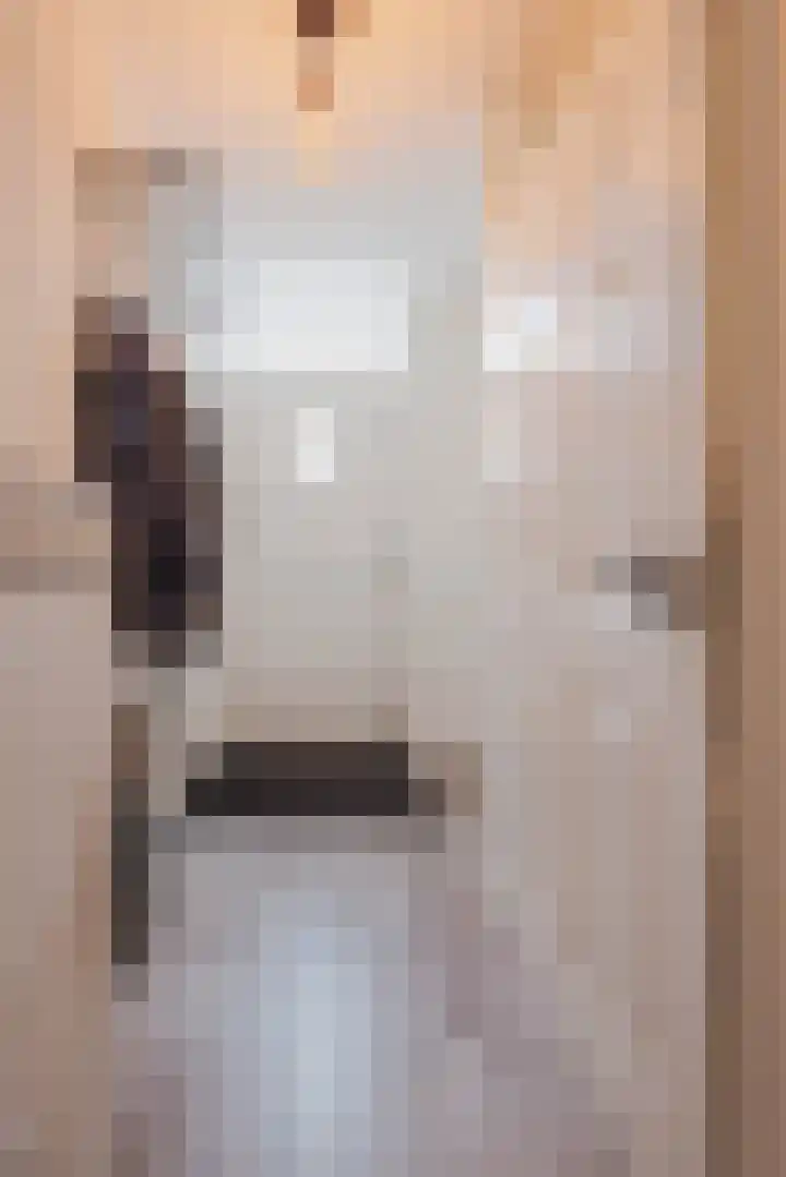 de Bresse 4 Geertruidenberg thumbnail 12