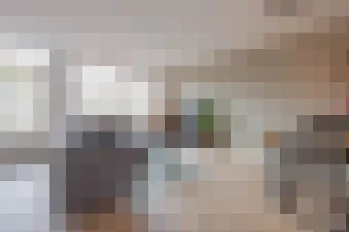 de Bresse 4 Geertruidenberg thumbnail 14