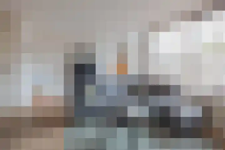 de Bresse 4 Geertruidenberg thumbnail 16