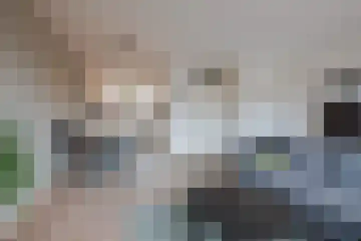 de Bresse 4 Geertruidenberg thumbnail 17