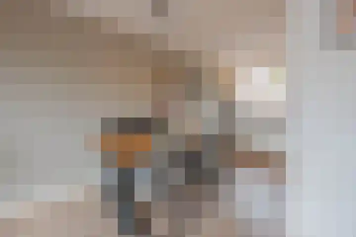 de Bresse 4 Geertruidenberg thumbnail 18
