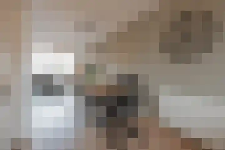 de Bresse 4 Geertruidenberg thumbnail 22