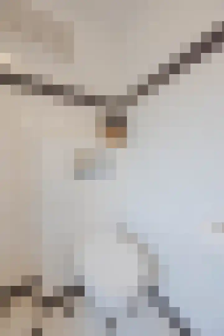 de Bresse 4 Geertruidenberg thumbnail 30