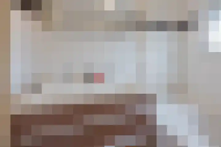 de Bresse 4 Geertruidenberg thumbnail 32