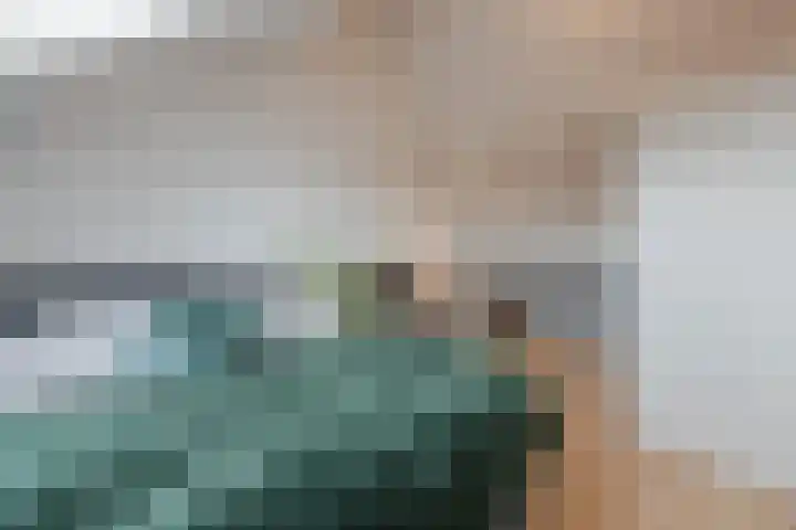 de Bresse 4 Geertruidenberg thumbnail 36