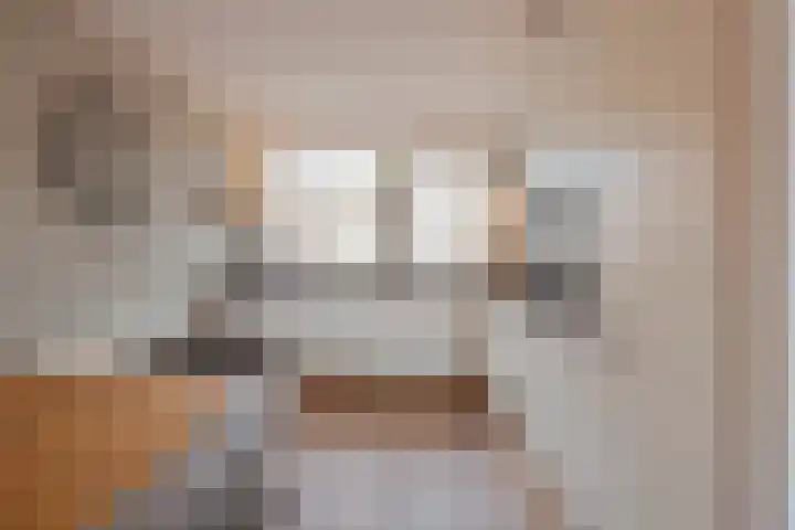 de Bresse 4 Geertruidenberg thumbnail 4