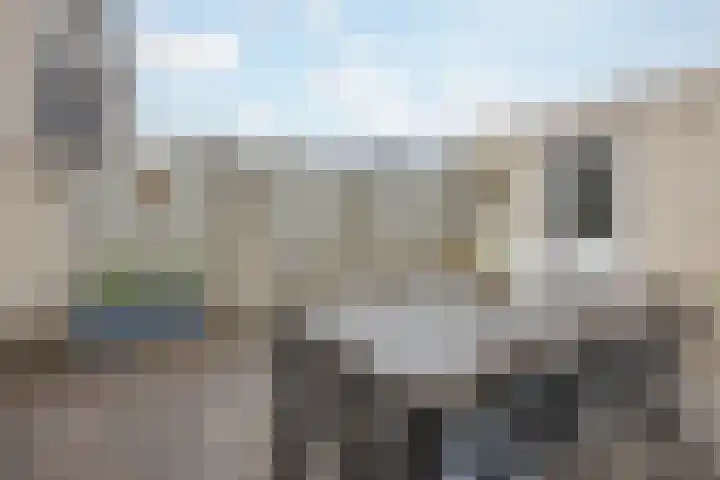 de Bresse 4 Geertruidenberg thumbnail 40