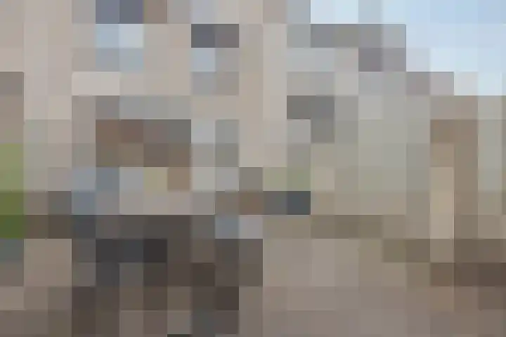 de Bresse 4 Geertruidenberg thumbnail 43