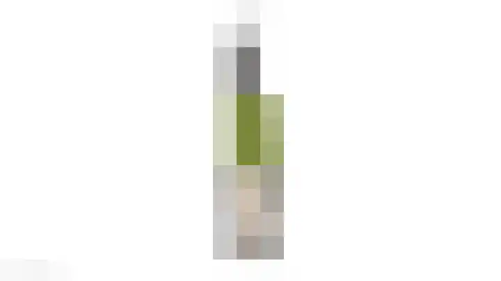 de Bresse 4 Geertruidenberg thumbnail 46