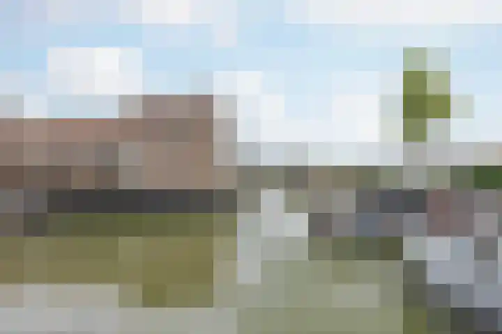 de Bresse 4 Geertruidenberg thumbnail 8