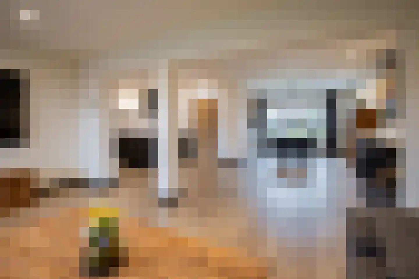 De Briasweg 3 Baexem thumbnail 18