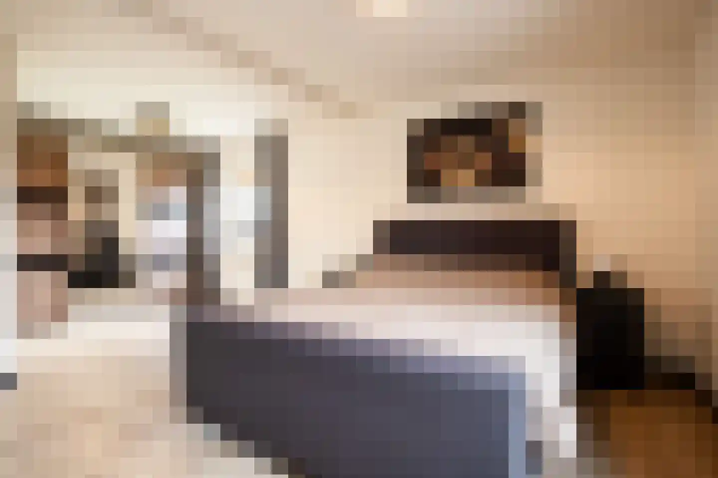 De Briasweg 3 Baexem thumbnail 20